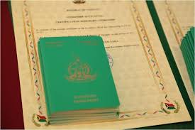Understanding the Vanuatu Passport Price Costs and Benefits Understanding the Vanuatu Passport Price Costs and Benefits
