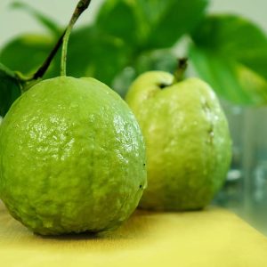 fruits-guava-food