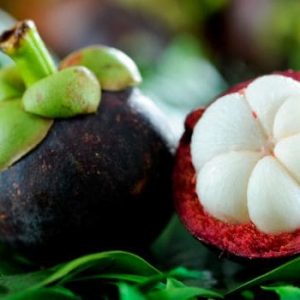 mangosteen_625x350_51464952377