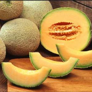 product-muskmelon